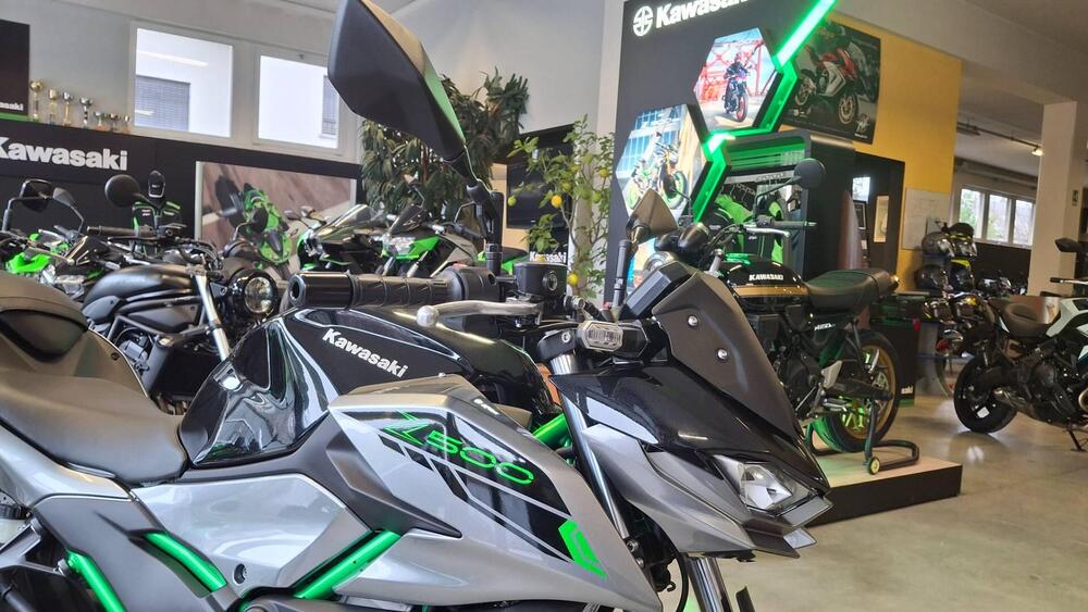 Kawasaki Z 500 SE (2024 - 26) (2)