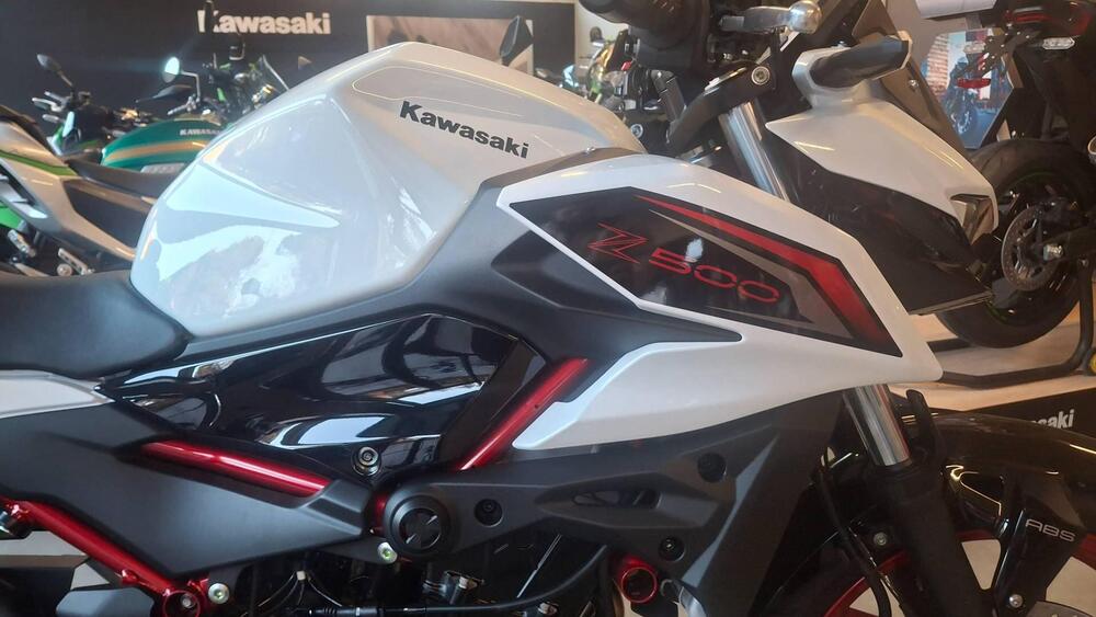 Kawasaki Z 500 SE (2024 - 26) (4)