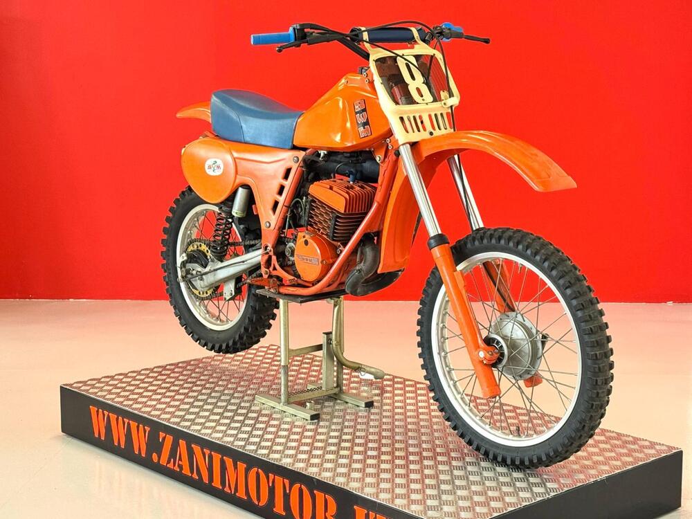 Swm RS 347 GS TF/1 (2)