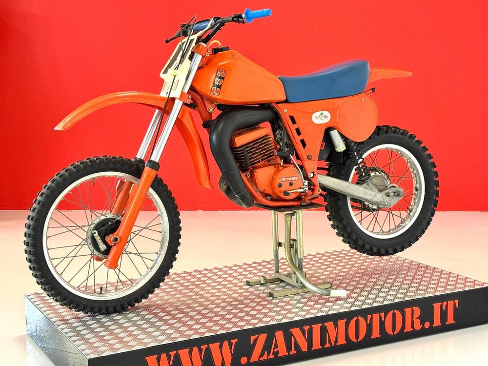 Swm RS 347 GS TF/1 (4)