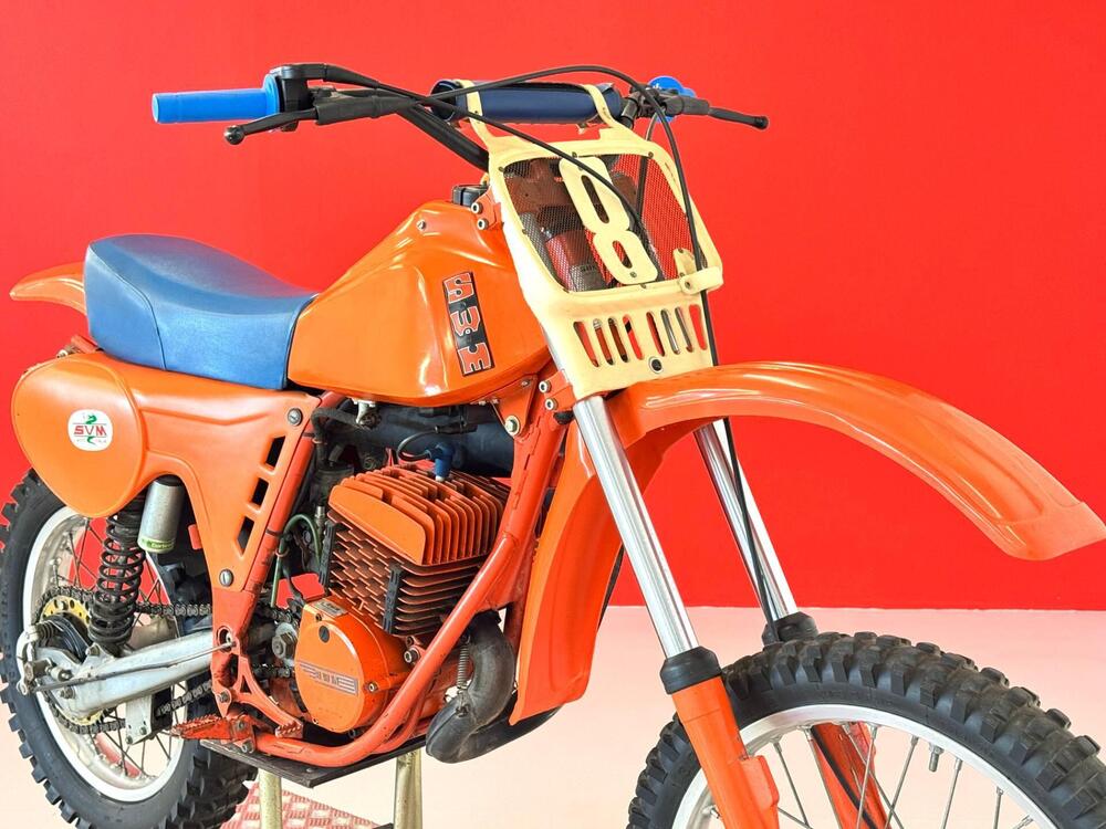 Swm RS 347 GS TF/1 (9)