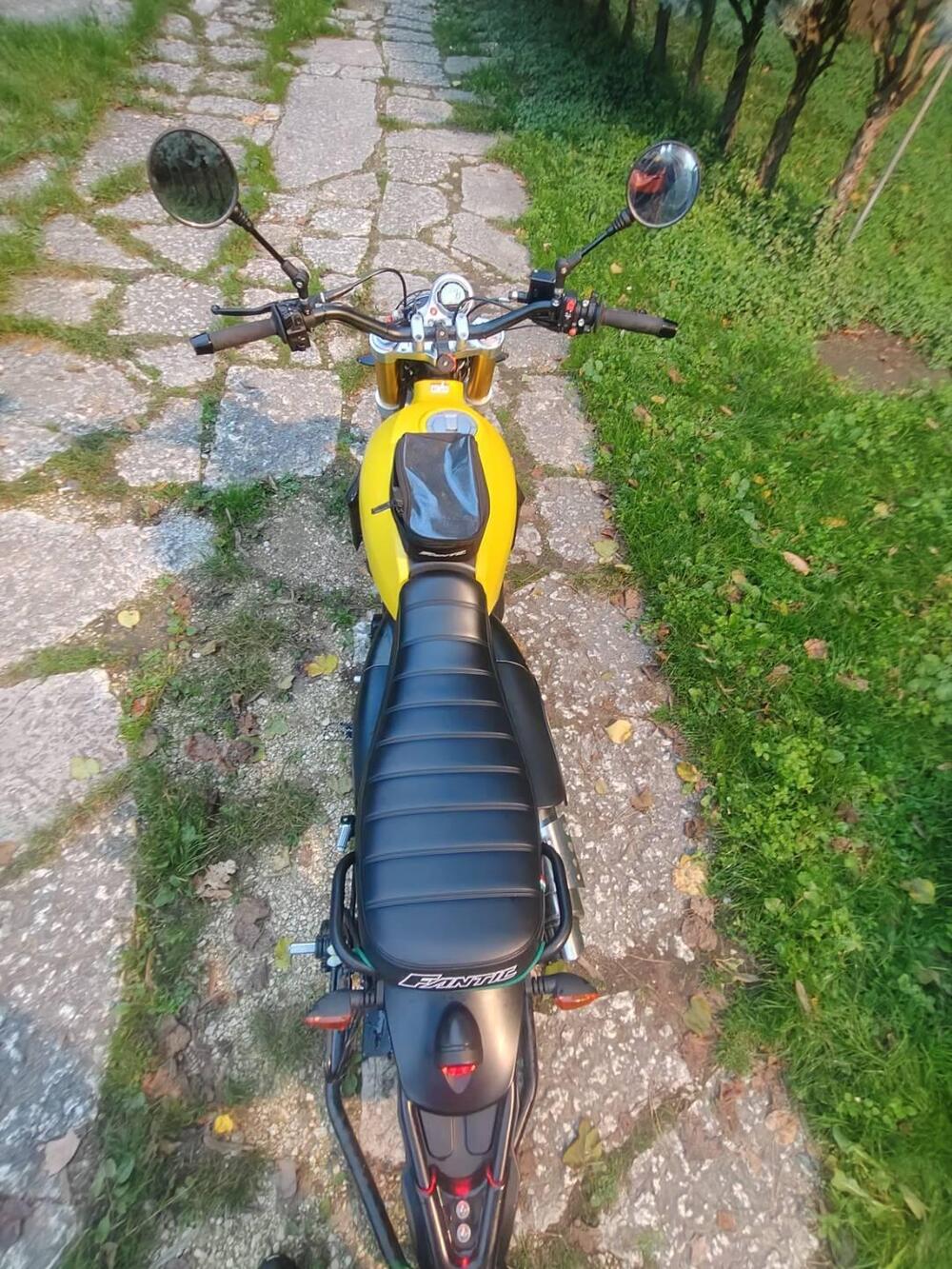 Fantic Motor Caballero 500 Scrambler (2021 - 23) (5)