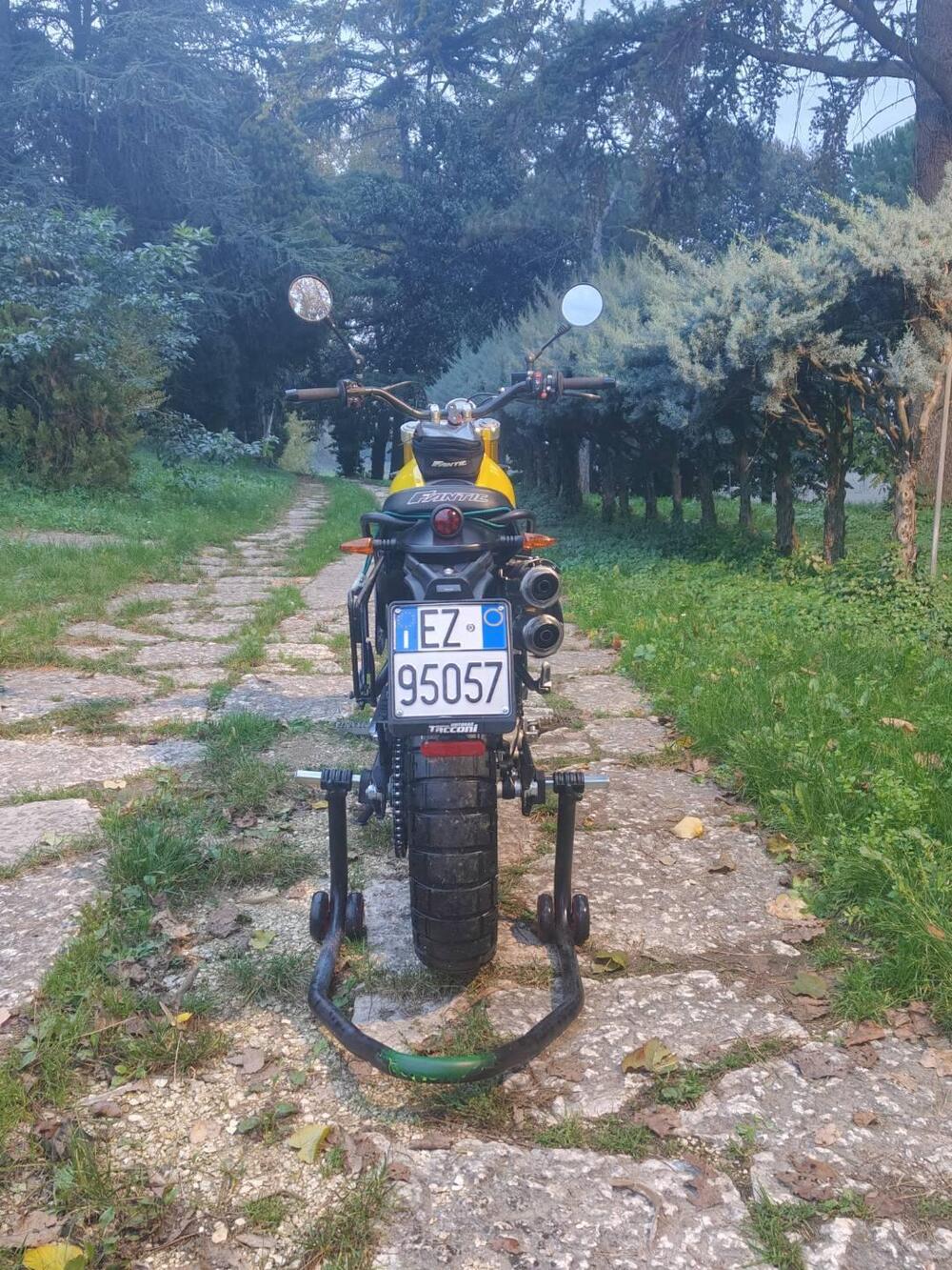 Fantic Motor Caballero 500 Scrambler (2021 - 23) (6)