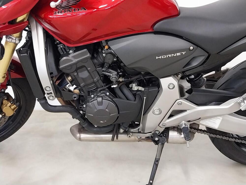 Honda Hornet 600 (2007 - 10) (13)