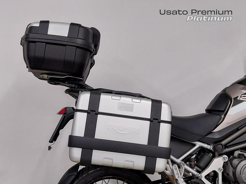 Triumph Tiger 1200 Rally Pro (2024 - 26) (6)