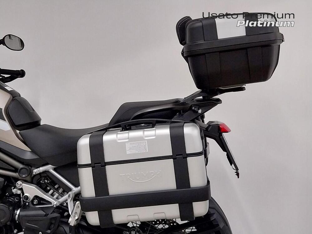 Triumph Tiger 1200 Rally Pro (2024 - 26) (13)