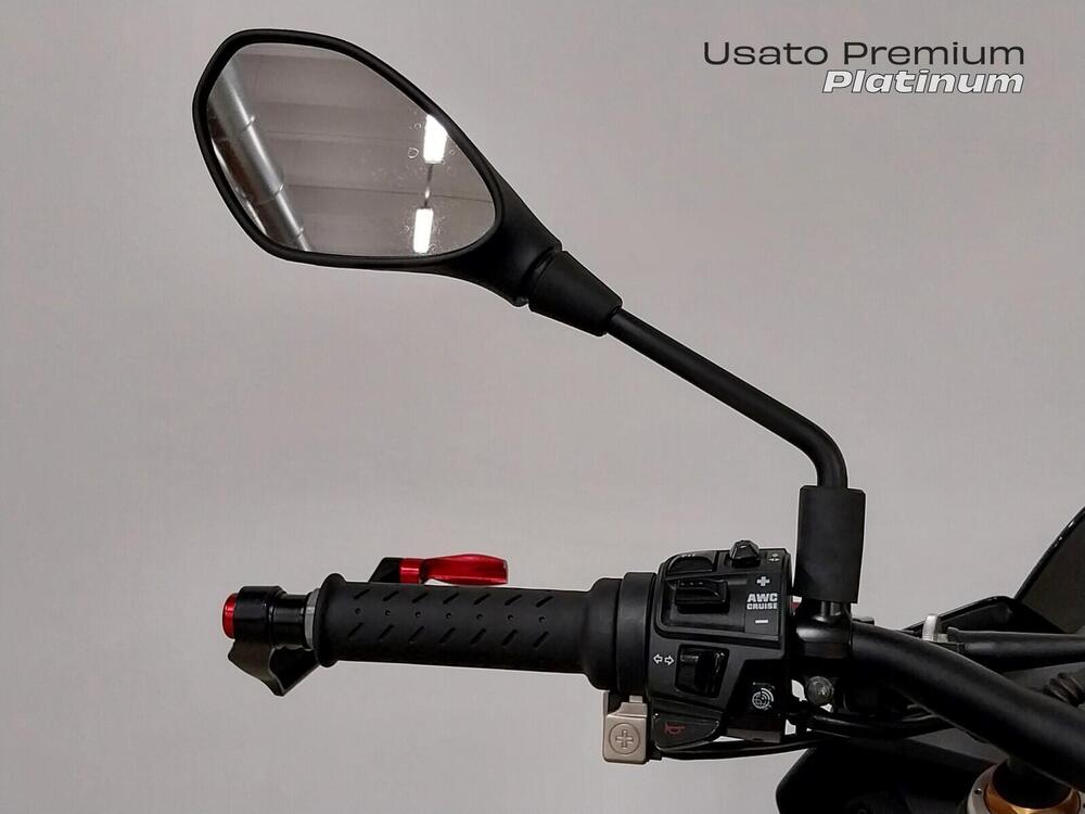 Aprilia Tuono V4 Factory (2019 - 20) (16)