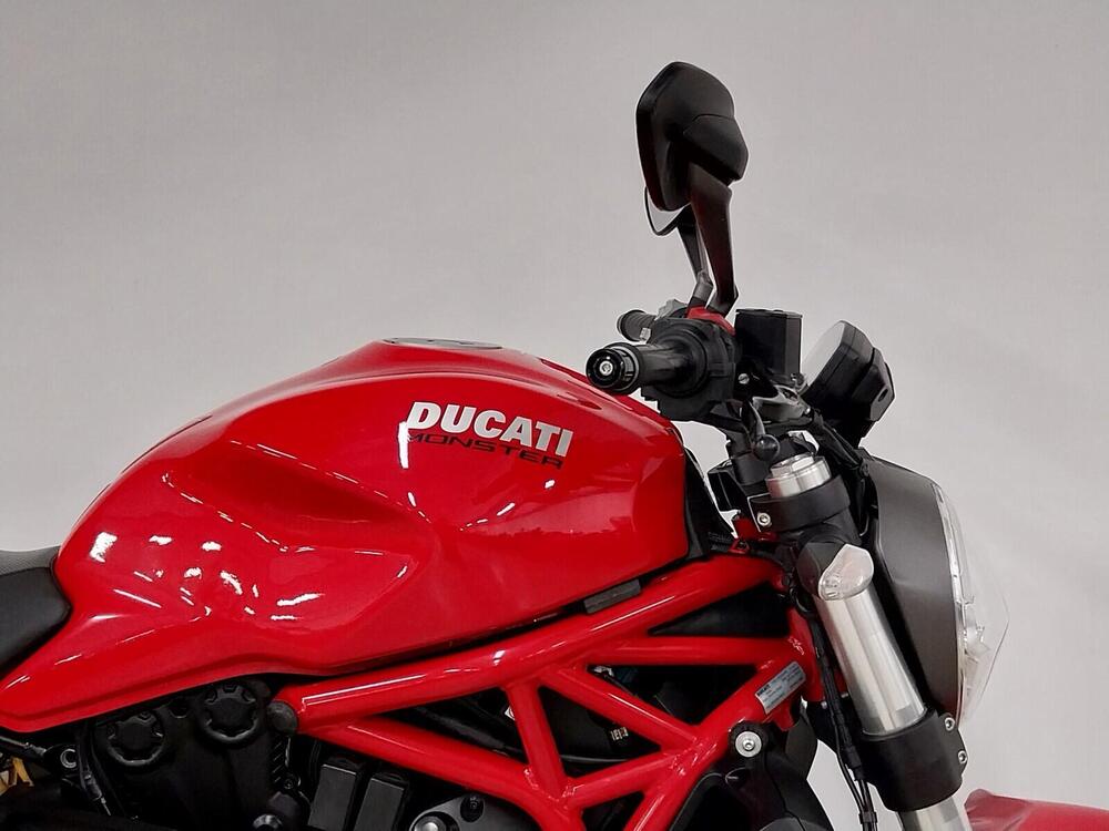 Ducati Monster 821 (2018 - 20) (7)