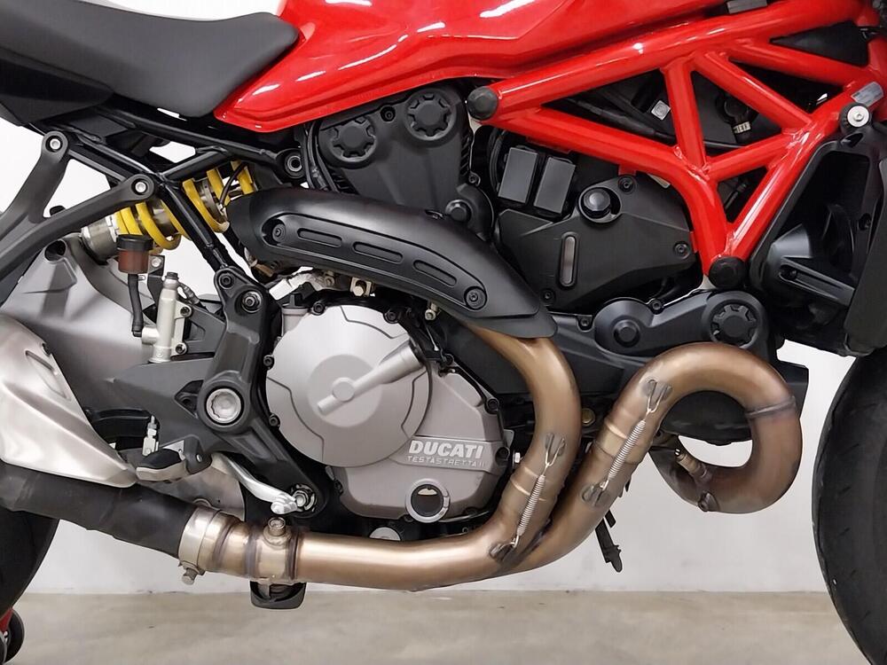 Ducati Monster 821 (2018 - 20) (12)