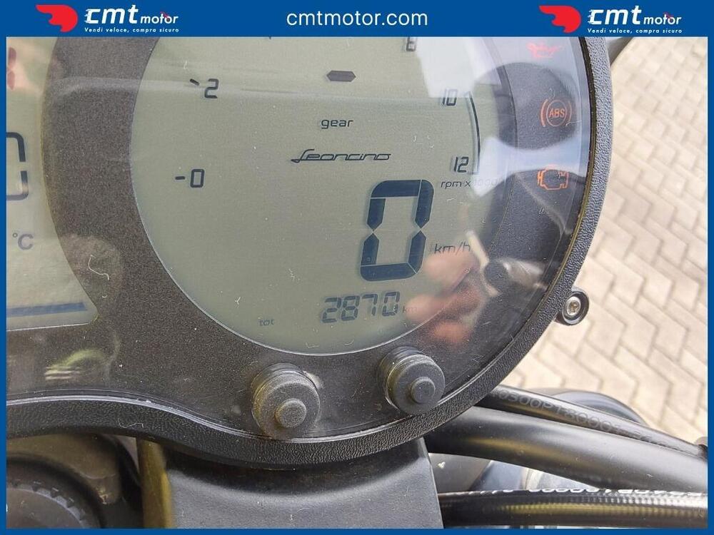 Benelli Leoncino 500 Trail (2021 - 26) (9)