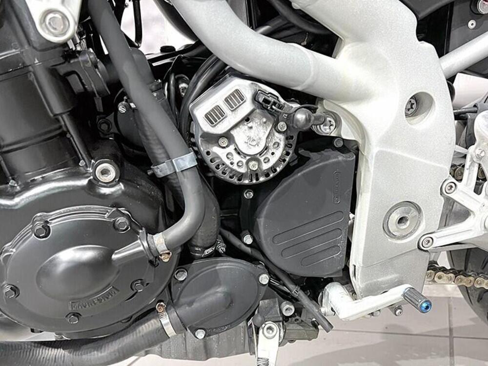 Triumph Speed Triple 955 (1998 - 01) (4)