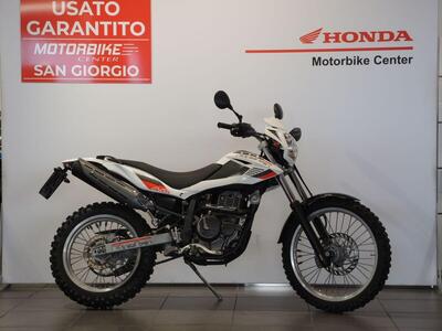 Betamotor Alp 4.0 (2008 - 17) usata