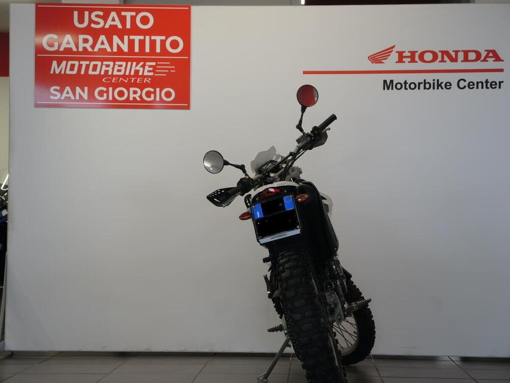 Betamotor Alp 4.0 (2008 - 17) (4)