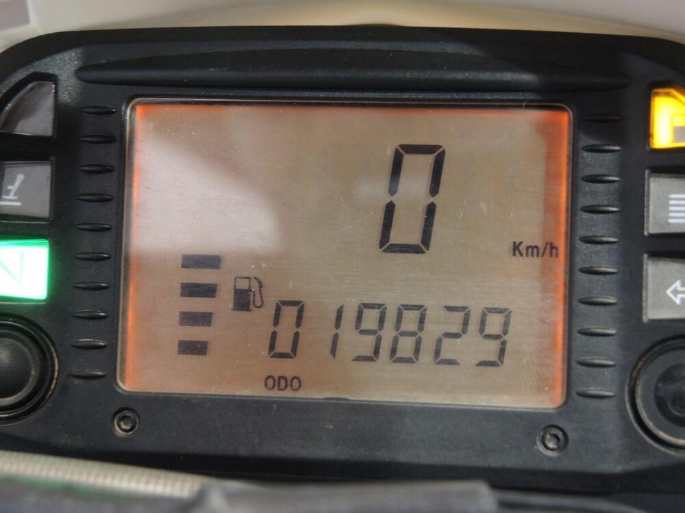 Betamotor Alp 4.0 (2008 - 17) (5)