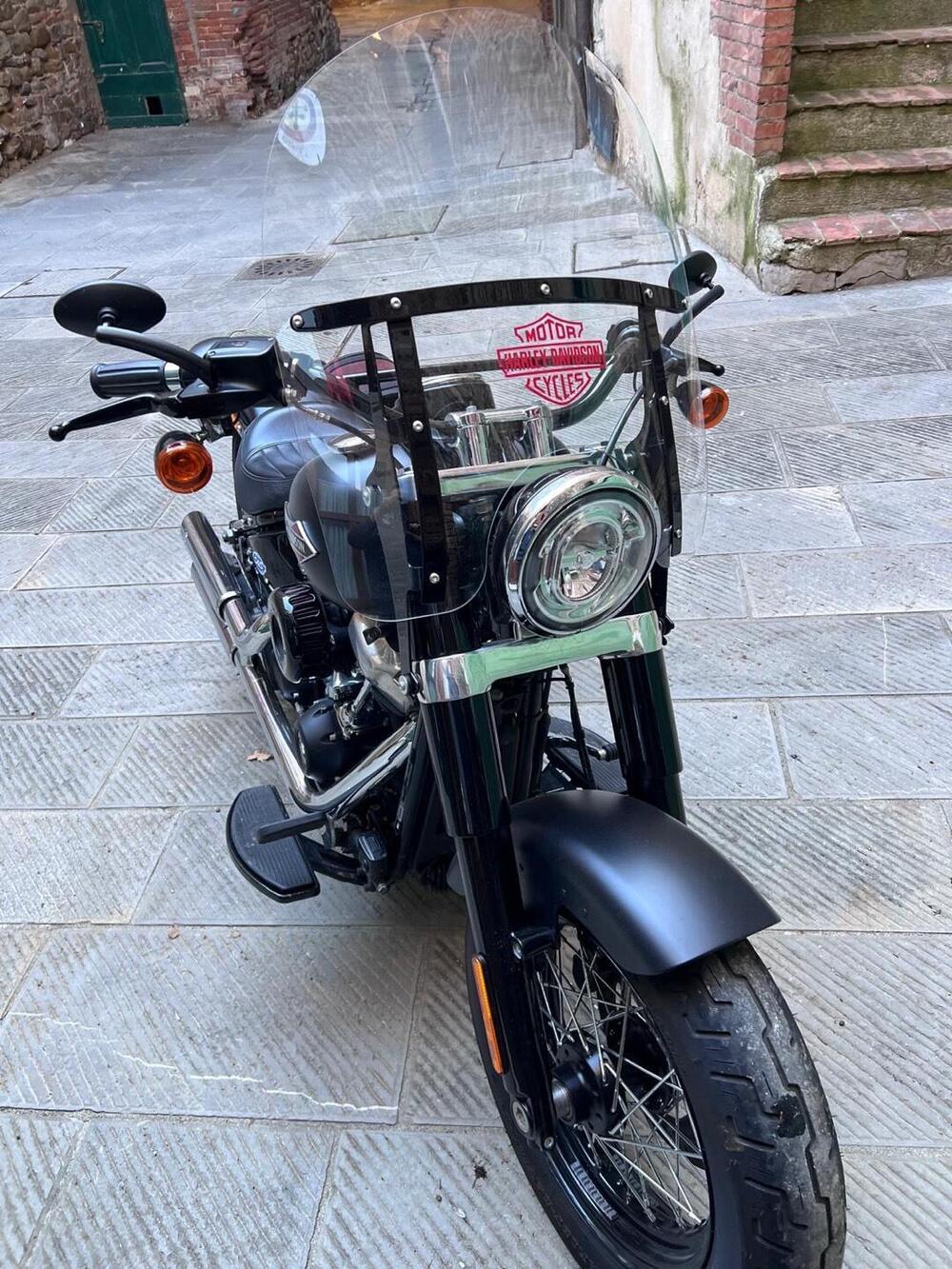 Harley-Davidson 107 Slim (2018 - 20) - FLSL (2)