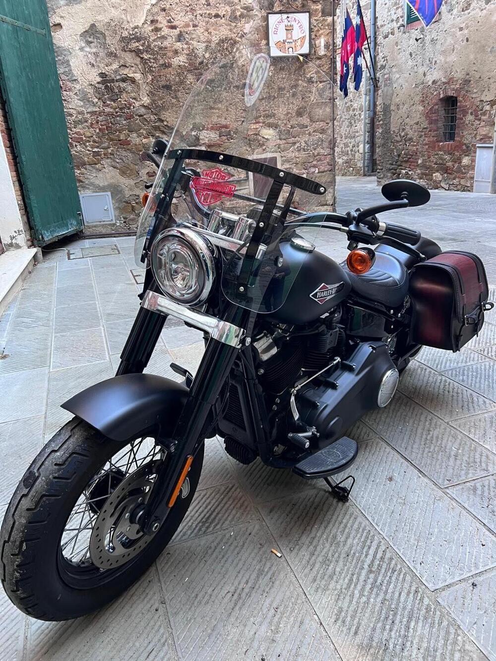 Harley-Davidson 107 Slim (2018 - 20) - FLSL (3)