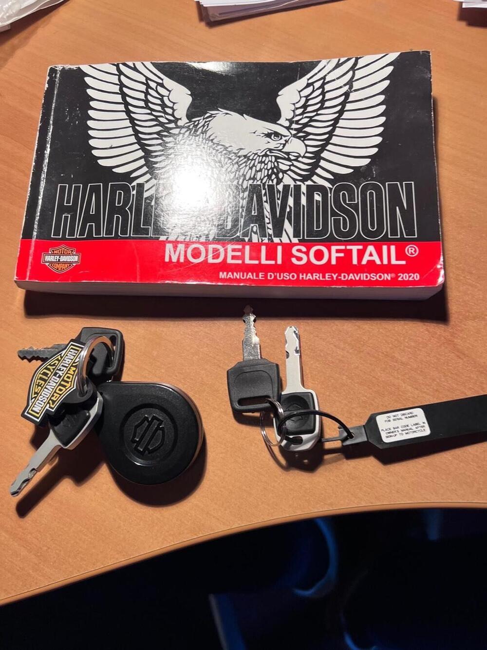 Harley-Davidson 107 Slim (2018 - 20) - FLSL (9)