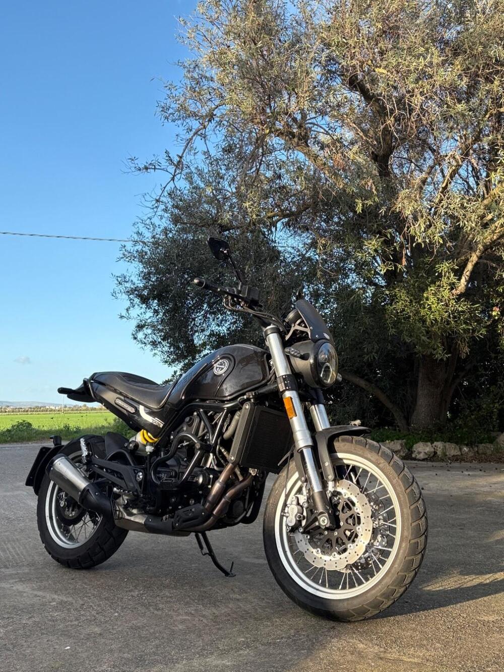 Benelli Leoncino 500 Trail (2021 - 26)