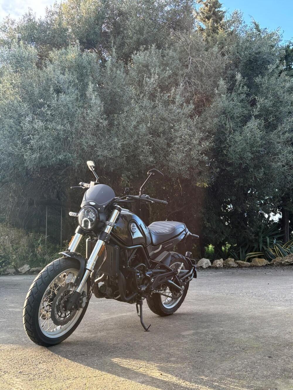 Benelli Leoncino 500 Trail (2021 - 26) (3)