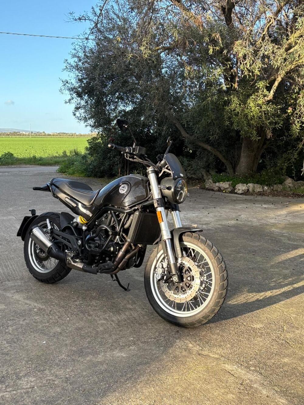 Benelli Leoncino 500 Trail (2021 - 26) (4)