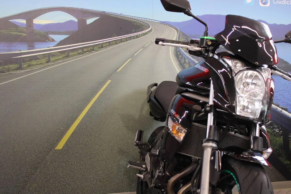 Kawasaki ER-6N (2009 - 11) (10)