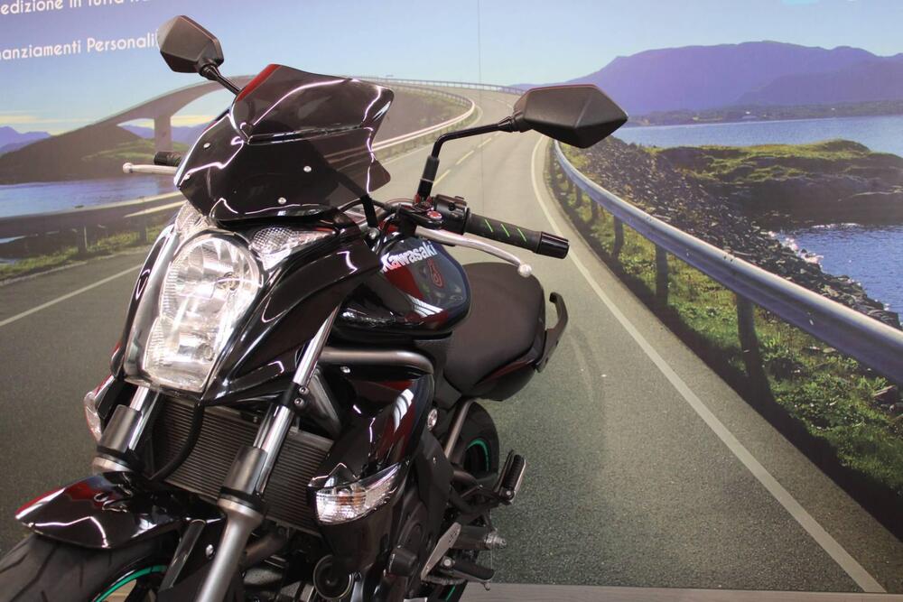 Kawasaki ER-6N (2009 - 11) (11)