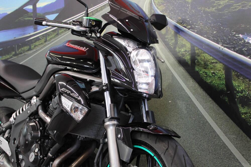 Kawasaki ER-6N (2009 - 11) (12)