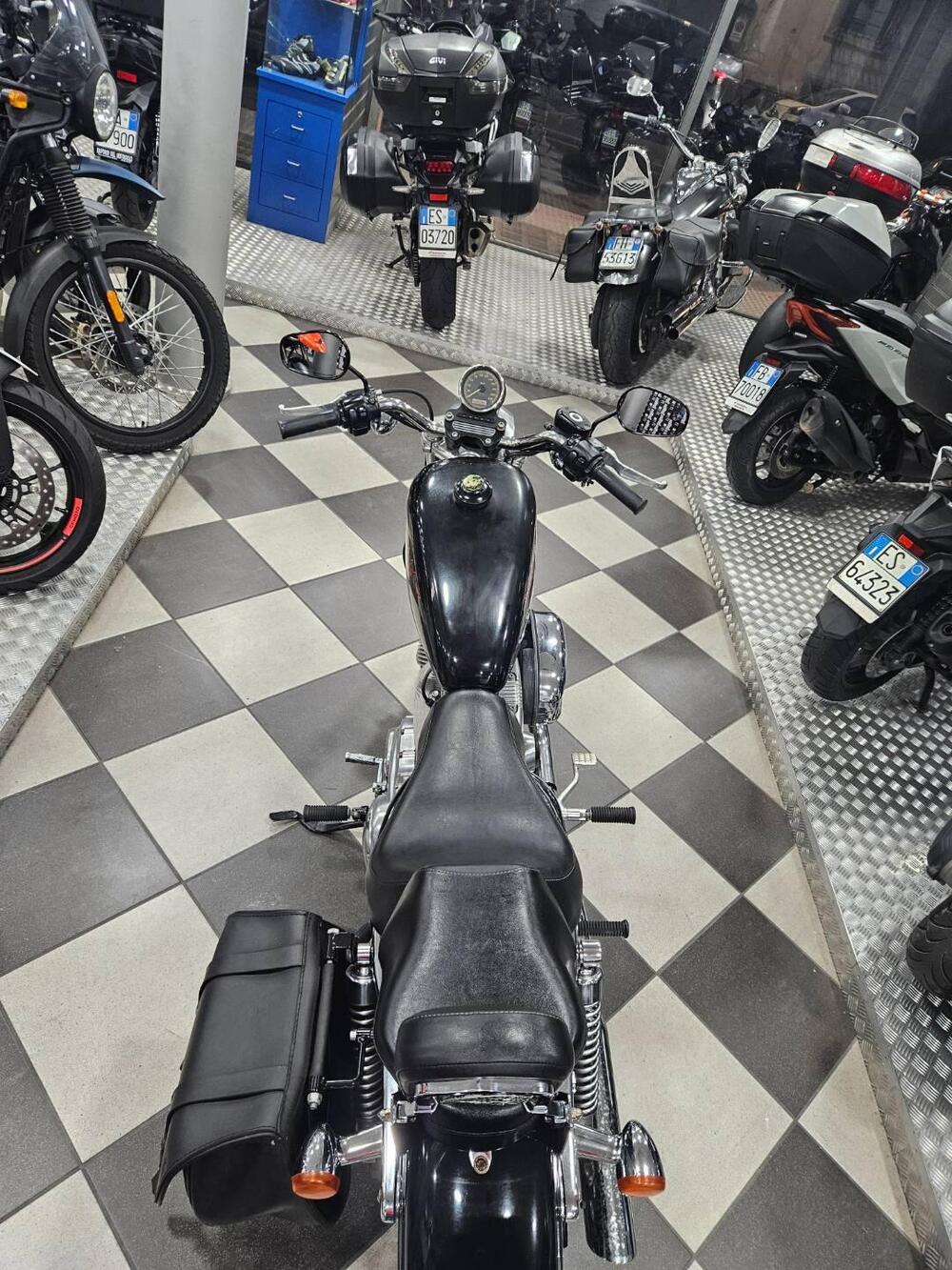 Harley-Davidson 883 (2006 - 07) - XL (4)