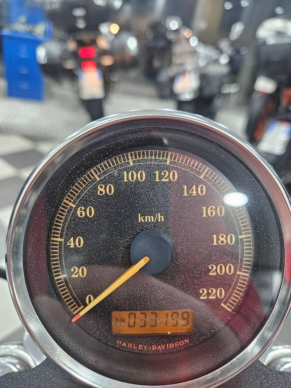 Harley-Davidson 883 (2006 - 07) - XL (8)