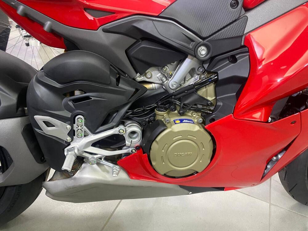 Ducati Panigale V4 (2025 - 26) (10)