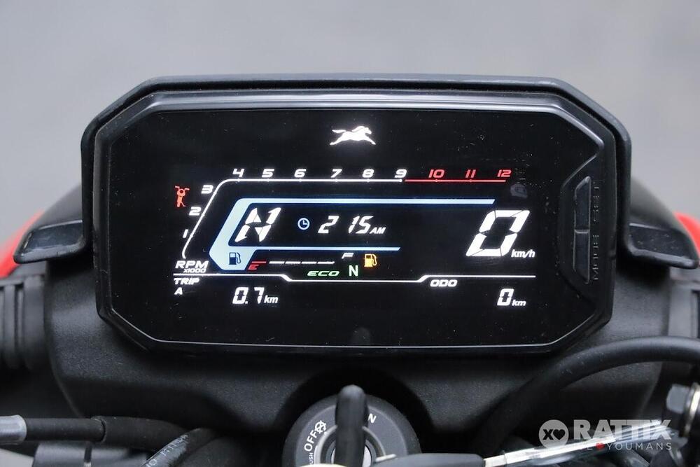 TVS Motor Raider 125 (2024 - 26) (13)