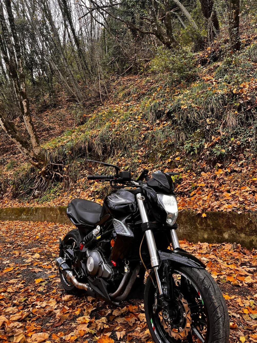 Benelli BN 302 (2014 - 16) (3)