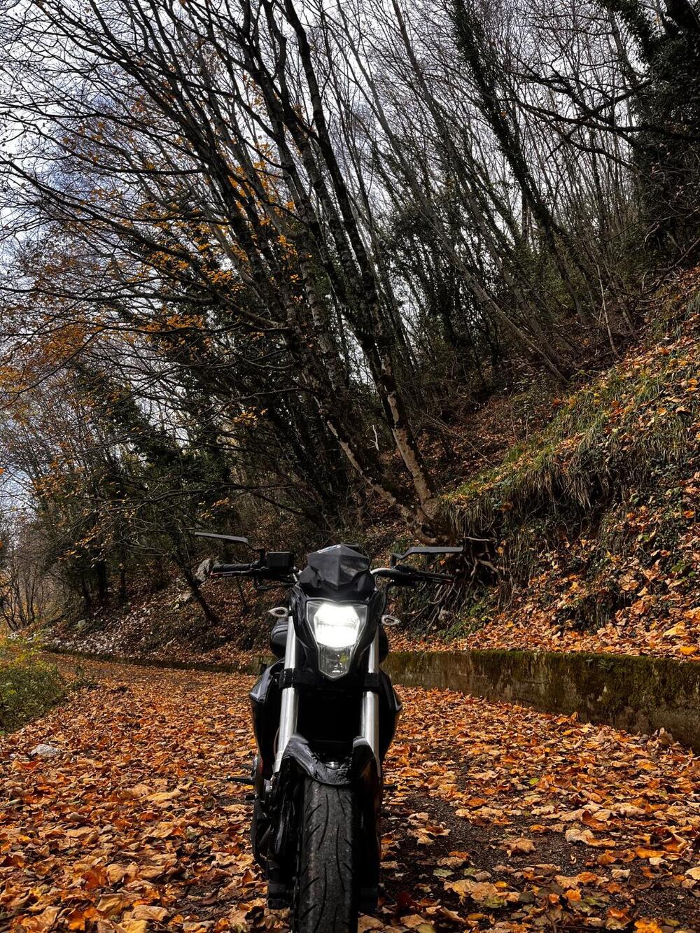 Benelli BN 302 (2014 - 16) (4)