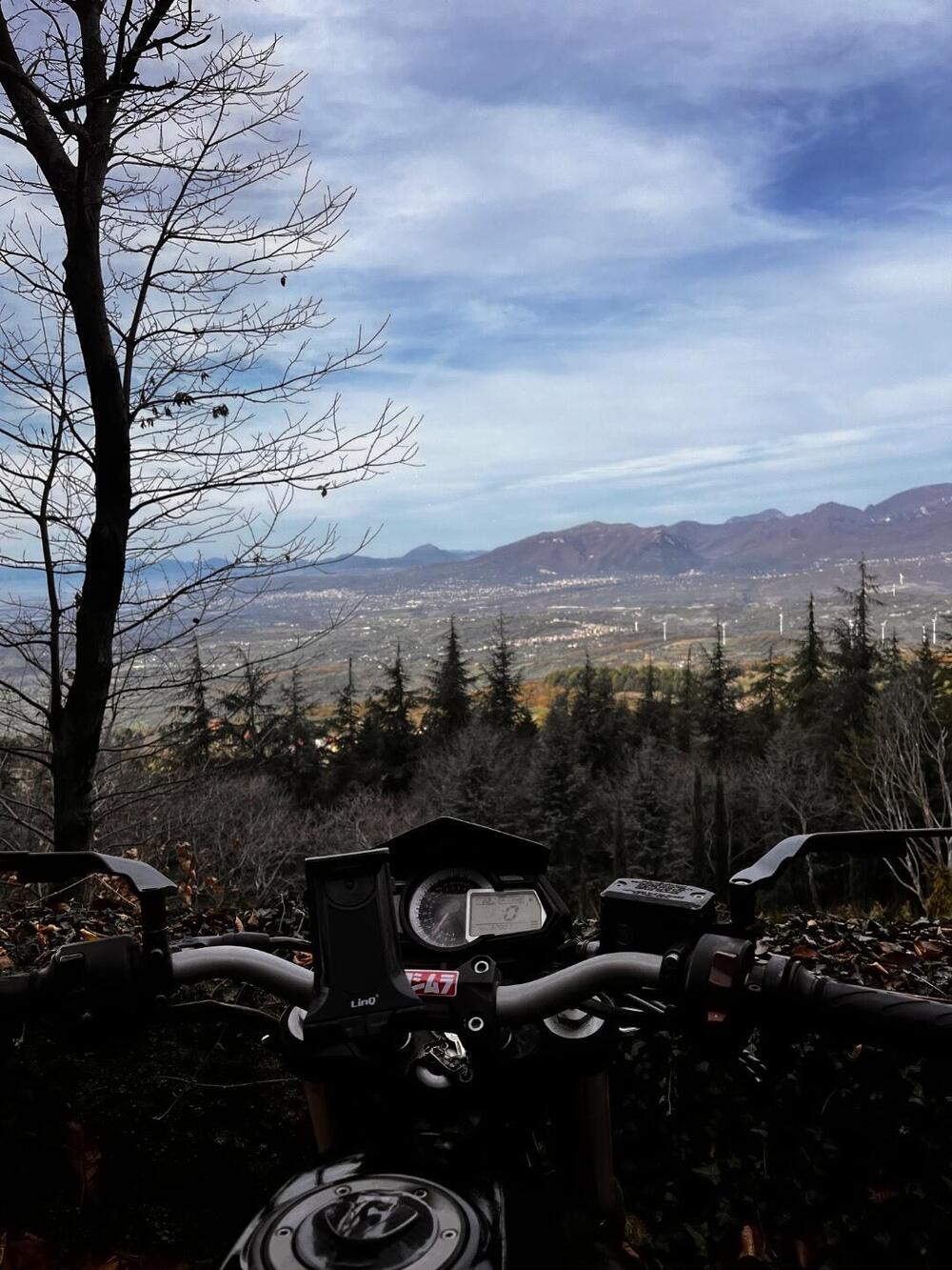 Benelli BN 302 (2014 - 16) (5)