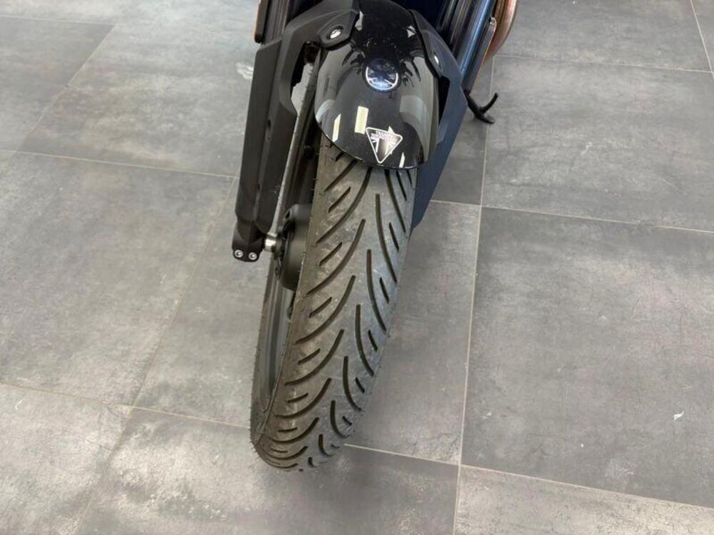 Triumph Speed Twin 900 (2025 - 26) (6)