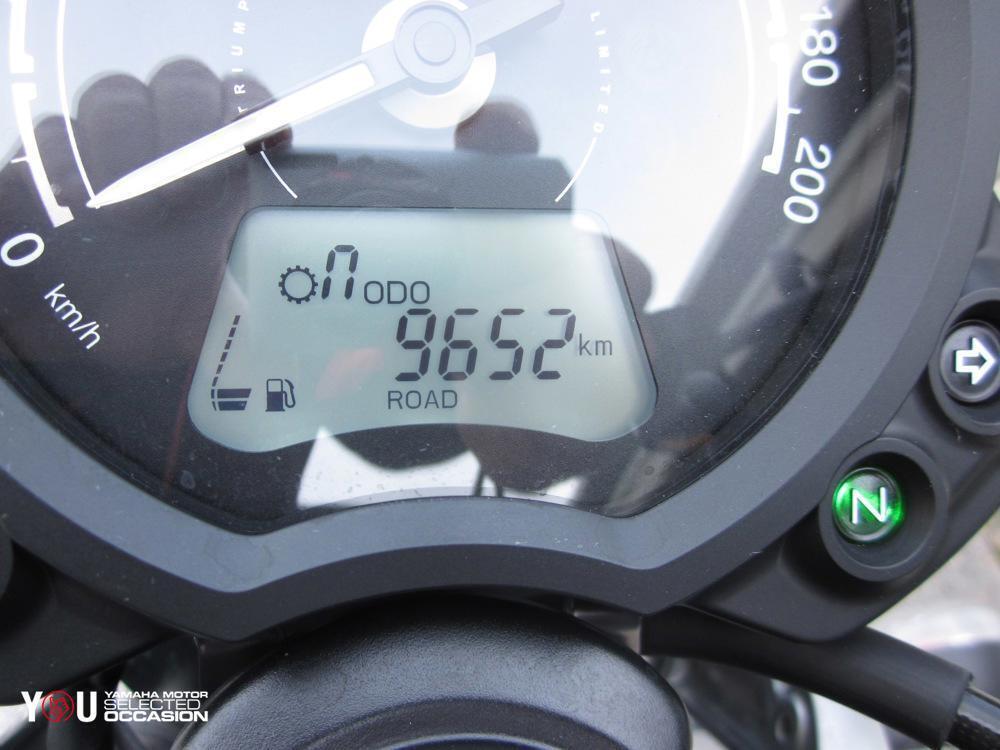 Triumph Speed Twin 900 Stealth Edition (2024) (5)