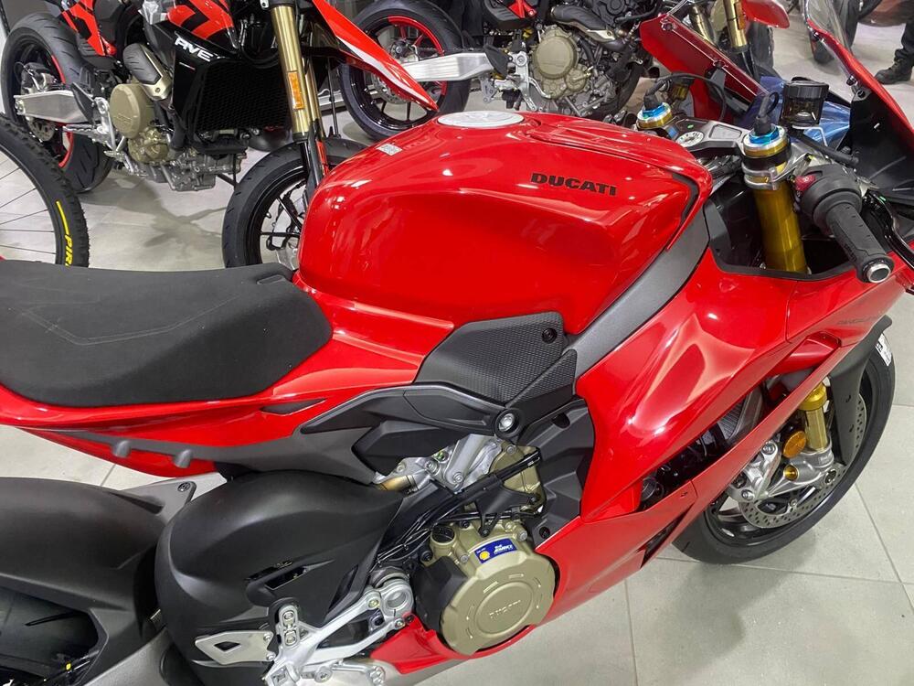 Ducati Panigale V4 S (2025 - 26) (7)