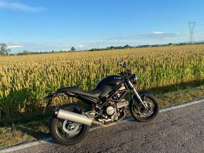 Ducati Monster 695 (2006 - 08) usata