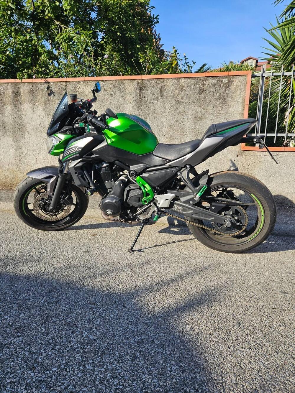 Kawasaki Z 650 Performance (2019 - 20) (5)