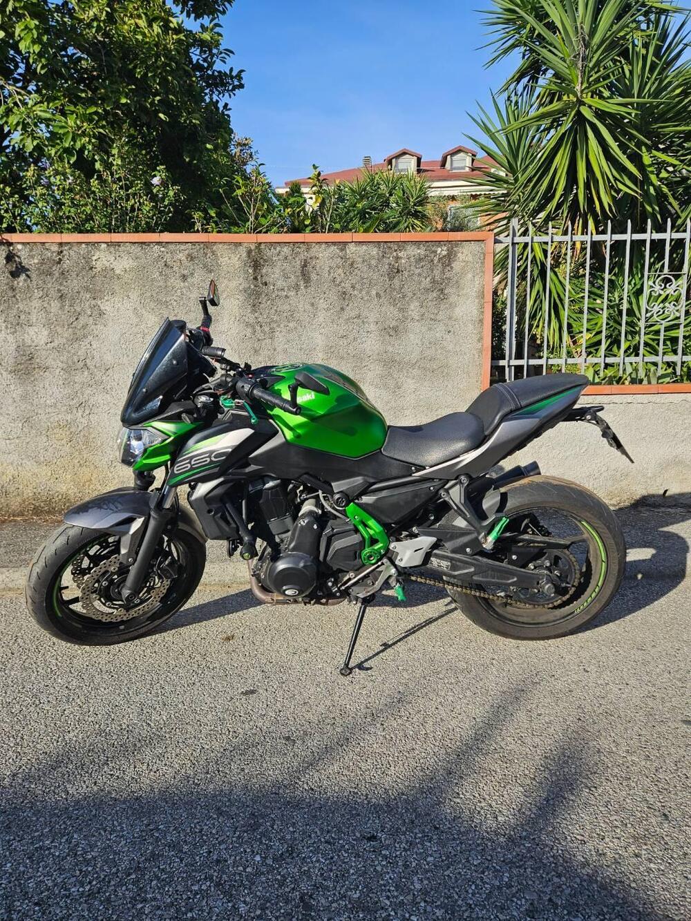 Kawasaki Z 650 Performance (2019 - 20) (6)
