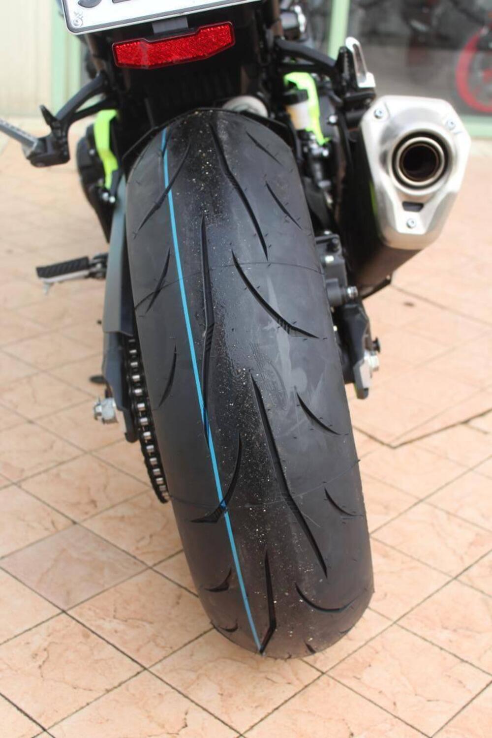 Kawasaki Z 900 (2025 - 26) (7)