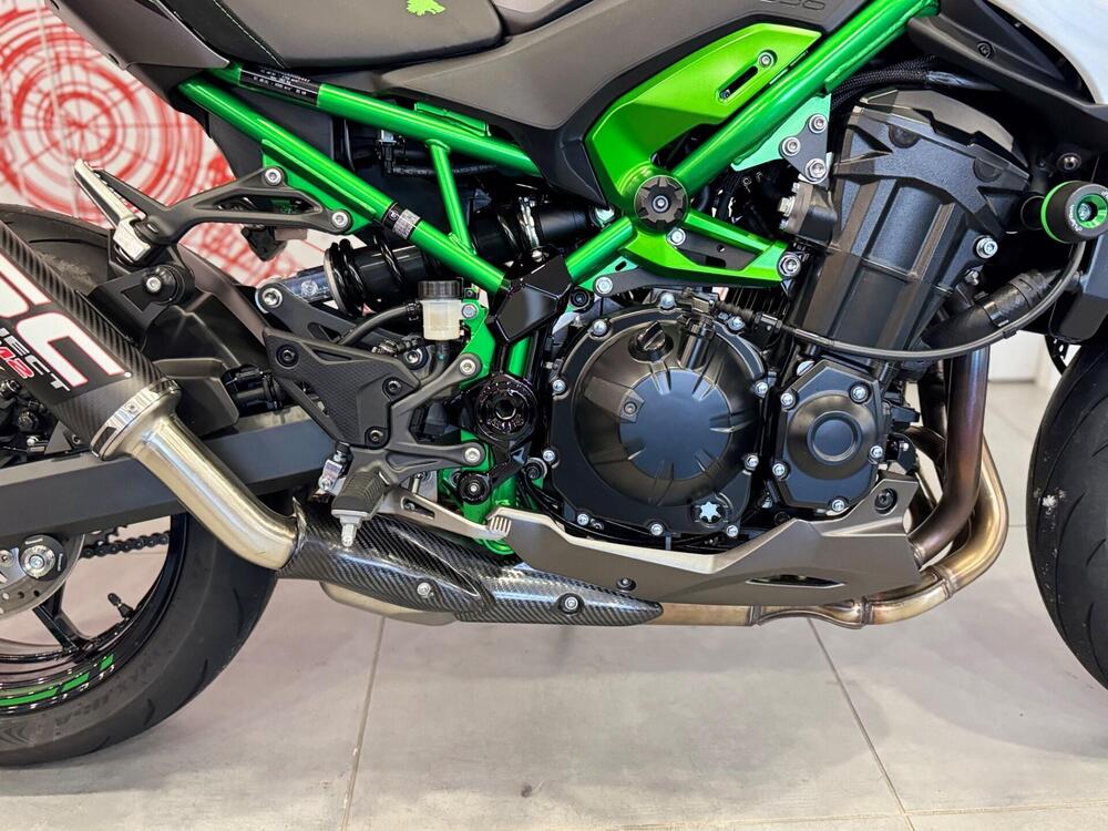 Kawasaki Z 900 (2025 - 26) (11)