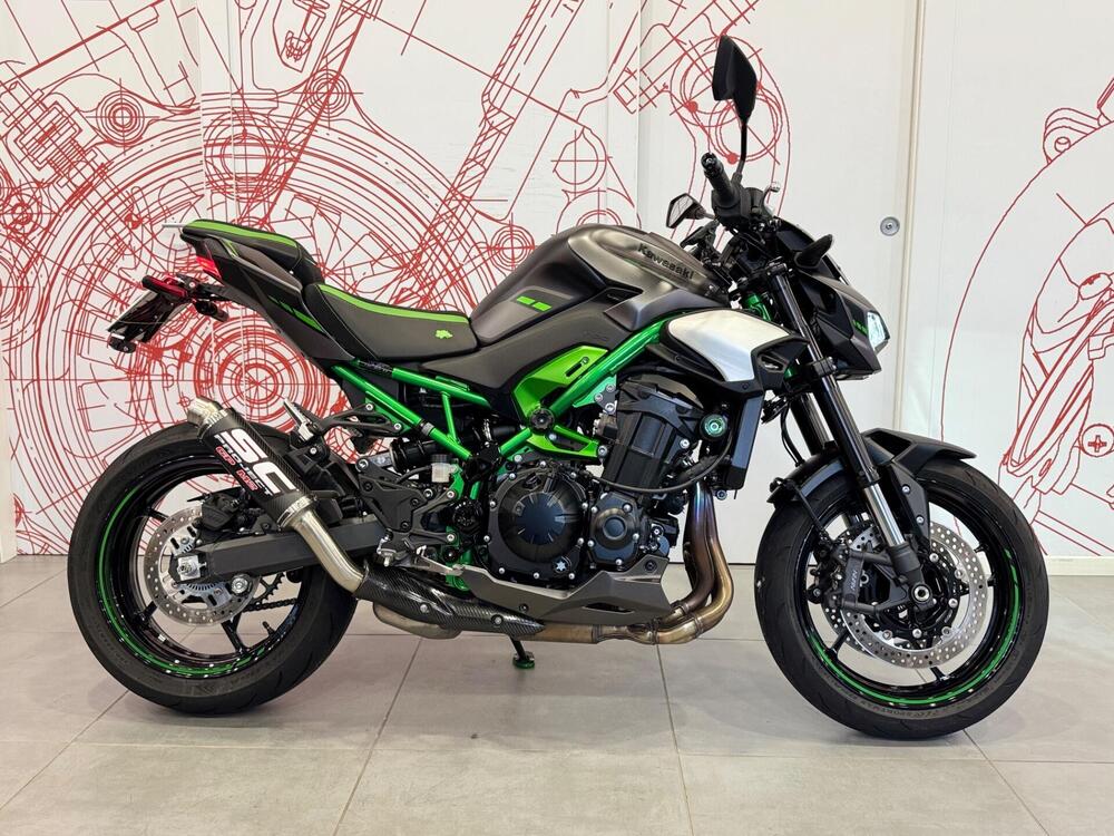 Kawasaki Z 900 (2025 - 26)