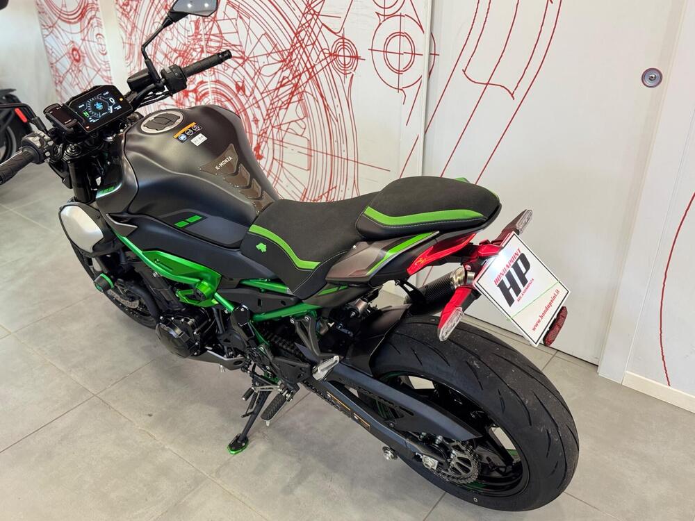 Kawasaki Z 900 (2025 - 26) (18)