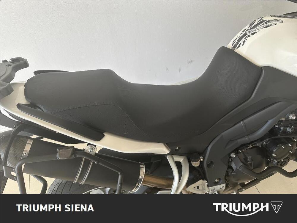 Triumph Tiger 1050 SE ABS (2006 - 13) (10)