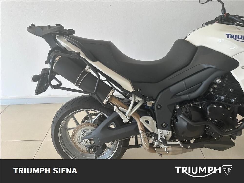 Triumph Tiger 1050 SE ABS (2006 - 13) (9)