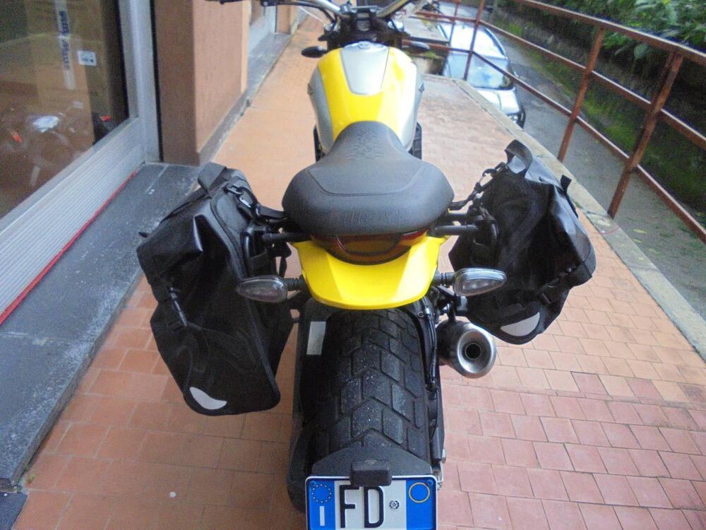 Ducati Scrambler 800 Icon (2023 - 24) (5)