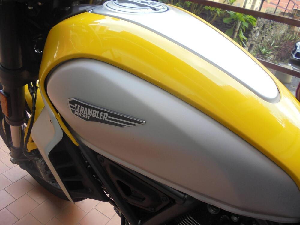 Ducati Scrambler 800 Icon (2023 - 24) (7)