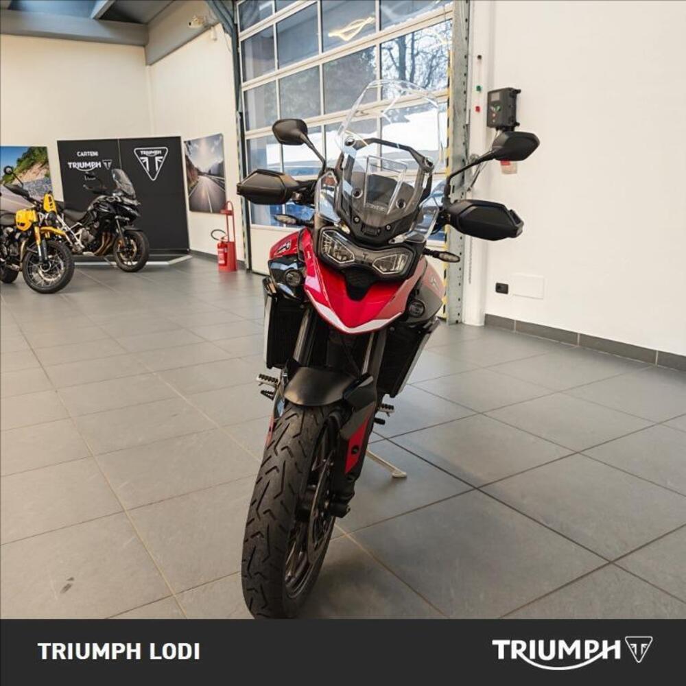 Triumph Tiger 900 GT Pro (2024 - 26) (5)