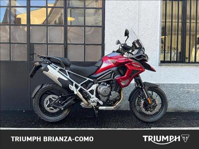 Triumph Tiger 1200 GT Pro (2024 - 26) usata